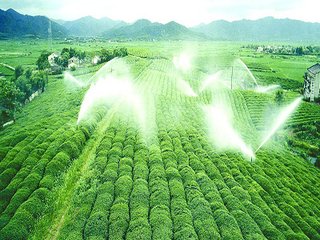 農業午夜激情影院