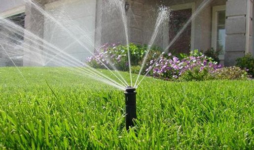 節水午夜激情影院